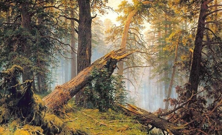 Create meme: Shishkin Ivan morning in a pine forest, morning in the pine forest Shishkin, Ivan Ivanovich Shishkin morning in the pine forest