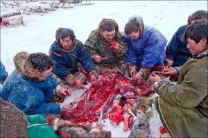 Create meme: Nenets food, kopalkin Chukotka, Nenets sacrifice