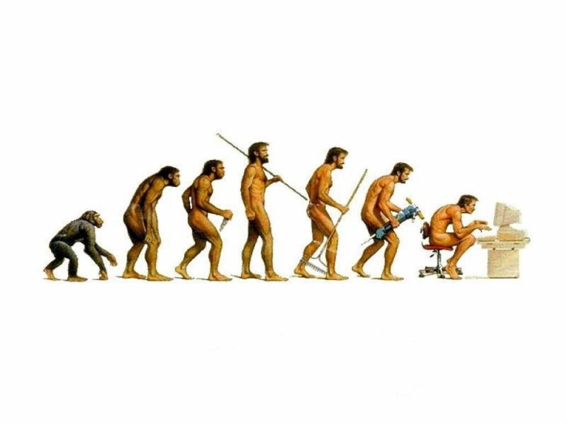 Create meme: Charles Darwin's theory of human evolution, human evolution, darwin's theory of evolution