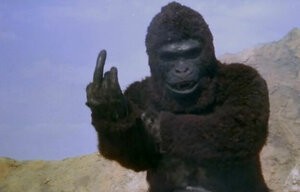 Создать мем: кинконг фильм 1986, новый кинг конг 1976, горилла