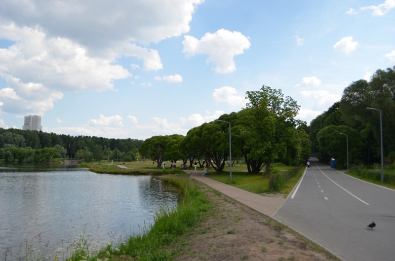 Create meme: Park , angarsk ponds park moscow, Pokrovskoye-Streshnevo Ponds Park