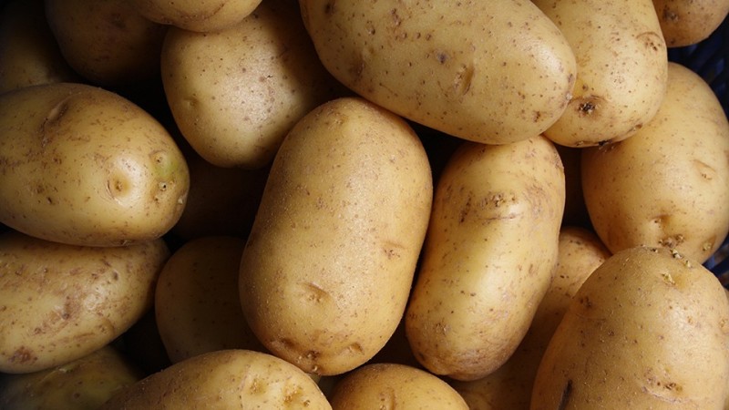 Create meme: zekura potatoes, new potatoes, seed potatoes