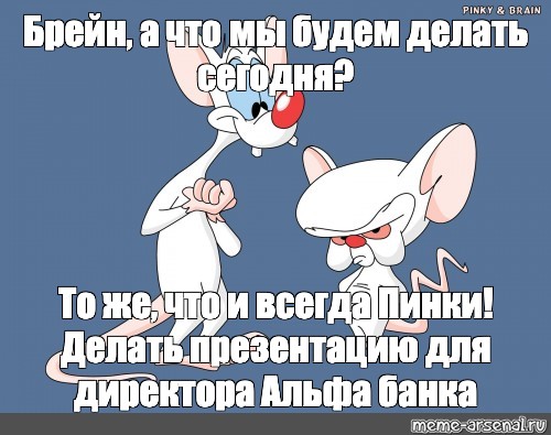 Брейн инструкция по применению. Пинки и Брейн. Что мы будем делать завтра Брейн. Пинки и Брейн Мем. Пинки и Брейн что мы будем делать сегодня.