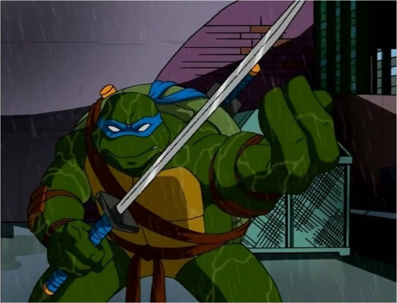 Create meme: Teenage mutant ninja turtles 2003 leo, leonardo's teenage mutant ninja turtles, teenage mutant ninja turtles