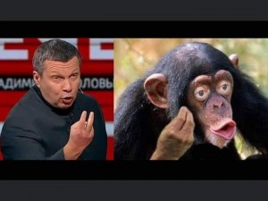 Create meme: meme monkey, the common chimpanzee, chimpanzees