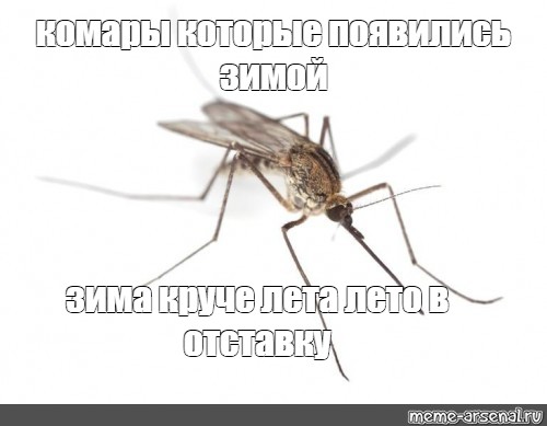Поставь 2 будем спать. Комар Мем. Скоро комары. Комары мемы. Борьба с комарами Мем.