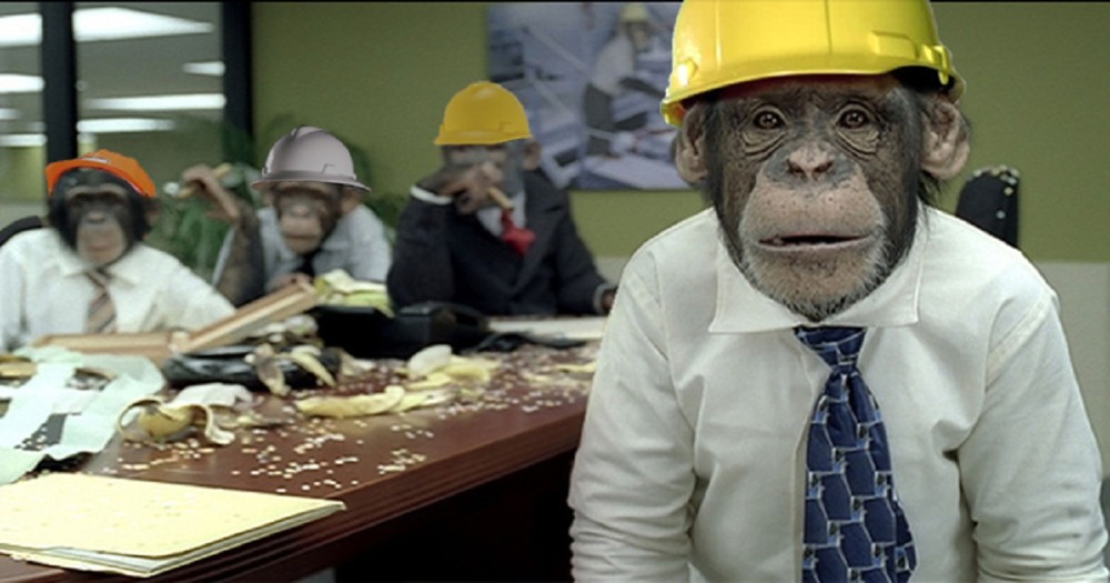 Create Meme Monkey In The Office Monkey At Work Hb Monkey Carl Pictures Meme Arsenal Com