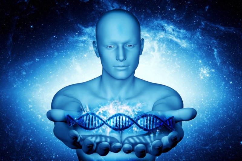 Create meme: human dna, the human genome, dna