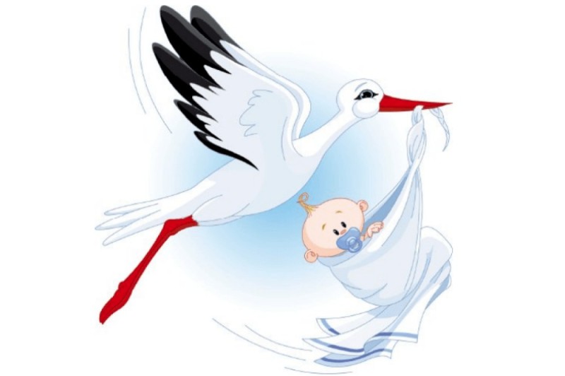 Create meme: stork with baby, stork with a newborn, A stork with a baby will be here soon