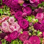 Create meme: pink flowers bouquet, flowers , the flowers are bright