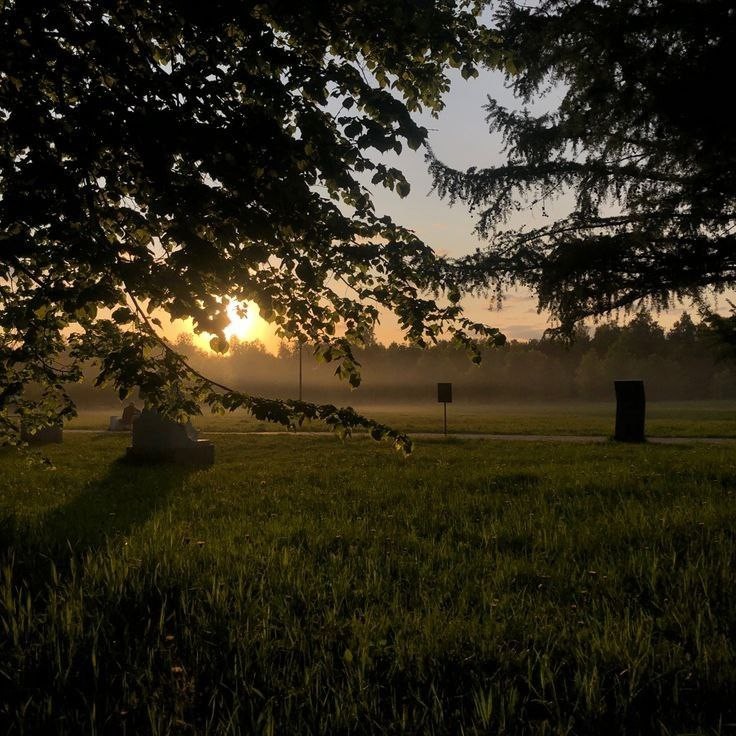 Create meme: sunset in the field, sunset , nature sunrise