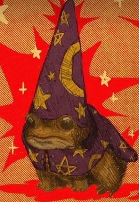Create meme: Toad the wizard, The frog is a wizard, Toad the sorcerer