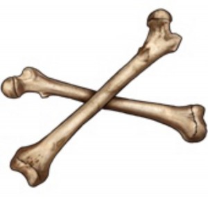 Create meme: thigh, femur 3d model, a bone on white background