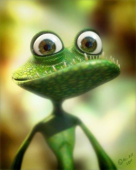 Create meme: funny frog, a frog with big eyes, Funny frog