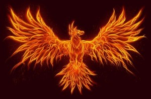 Create meme: Wallpapers fiery Phoenix, a Phoenix from the ashes, phoenix