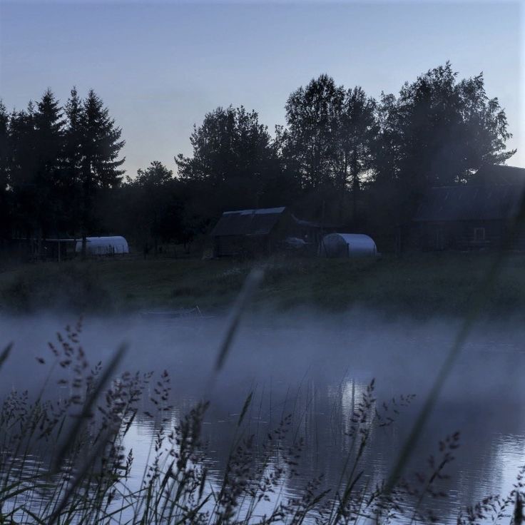 Create meme: fog in the village, the village of megra Vologda landscape, morning fog 