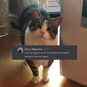 Create meme: funny cats, cat, cat sad