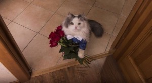 Create meme: kitten with a bouquet, kitten with a bouquet of flowers, cat with a bouquet of flowers