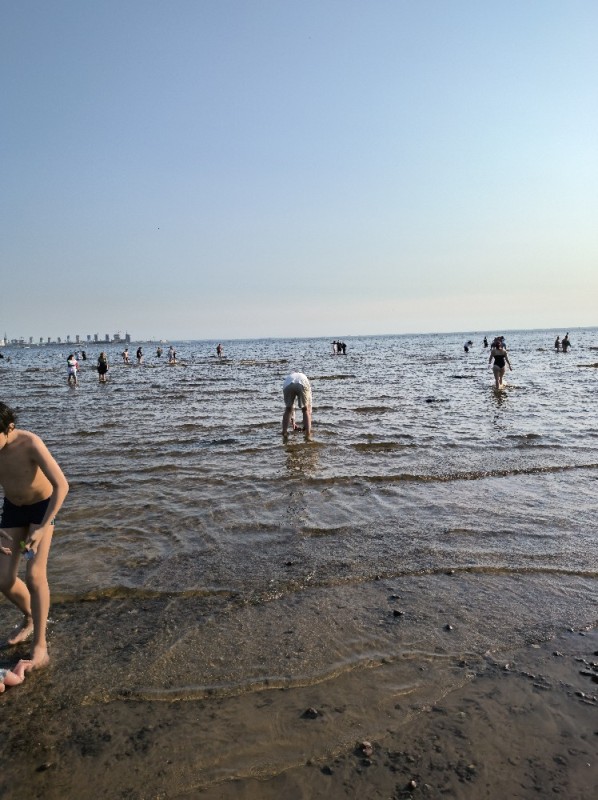 Create meme: beach , caspian sea beach, the beach is affectionate