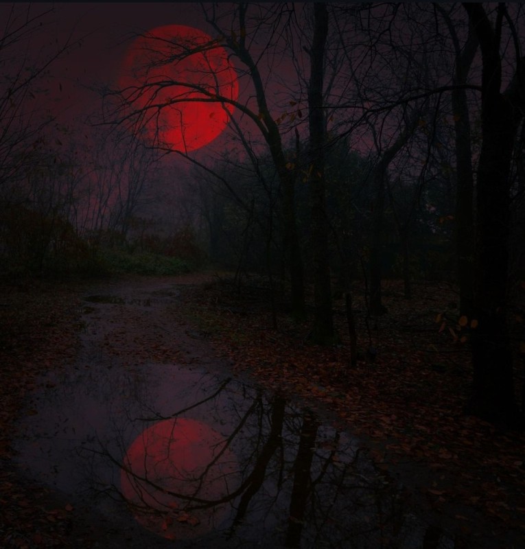 Создать мем: кровавая луна в лесу, кровавая ночь, кровавая луна