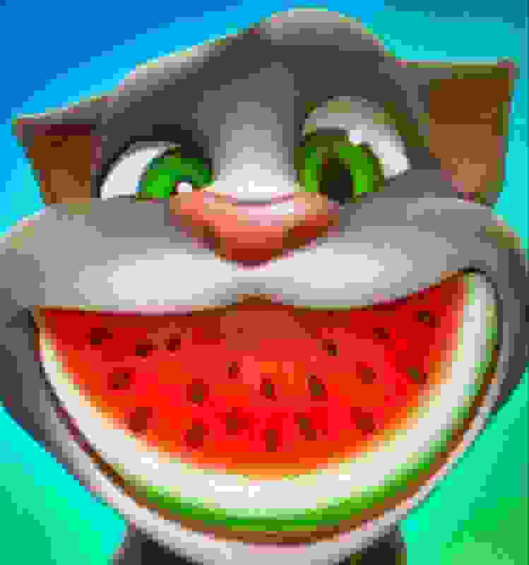 Create meme: talking tom, tom the cat with watermelon, Tom with a watermelon in his mouth