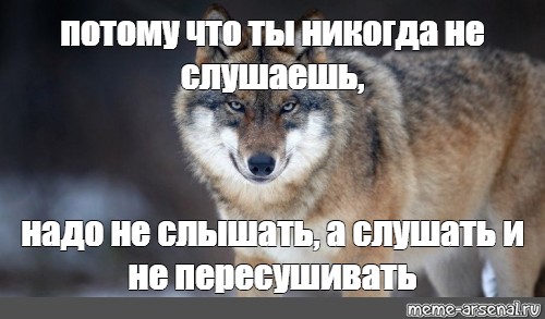 Если будешь не мною волком слушать. Матерый Мем. Потому что так надо было Мем. Матерый волк текст.