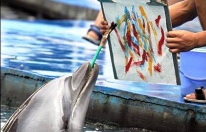 Создать мем: дельфин рисует картину, дельфины в дельфинарии, картина дельфина
