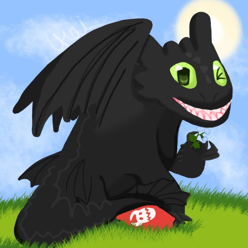 Create meme: tame the dragon toothless, Toothless Fury, Night Fury dragon