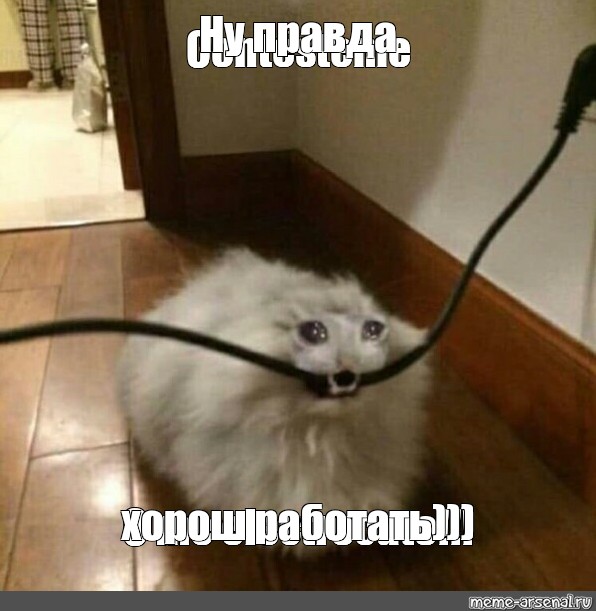 Создать мем: null