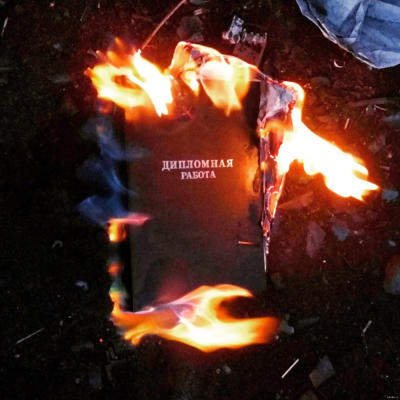 Create meme: burning diploma, burning books, The burning book