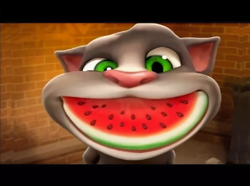 Create meme: talking tom with watermelon, cartoons for kids , talking tom