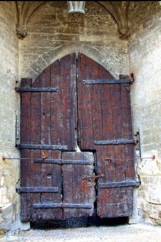 Create meme: medieval doors in castles, The doors are antique, antique oak door