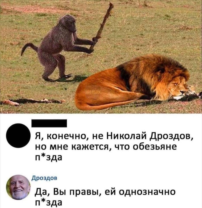 Create meme: jokes about the lion, Leo , Of course I'm not Nikolai Drozdov