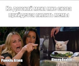 Create meme: memes humor, memes with cats, meme the cat at the table