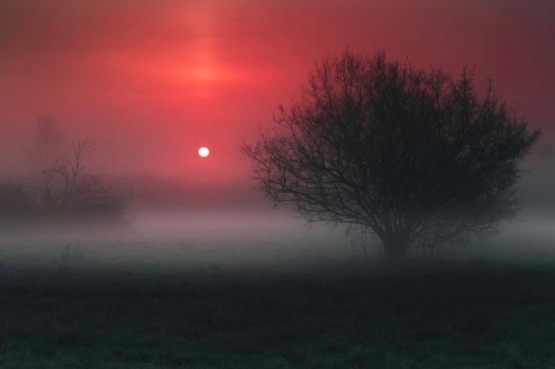 Create meme: Fog night, landscape , dawn mist