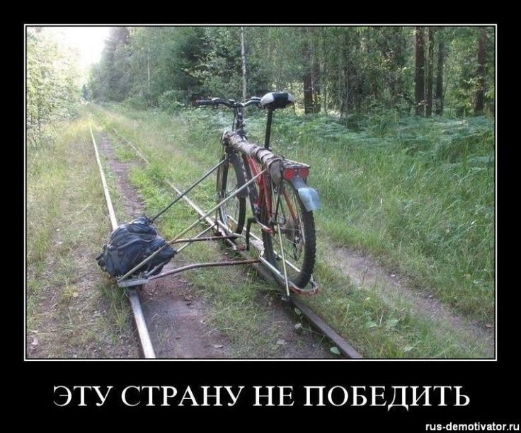 Create meme: rail bike, grasshopper bicycle tire, bike 