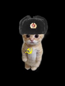 Создать мем: кот в военной шапке, кот кот, котики милые