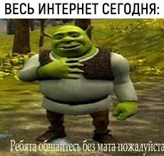 Create meme: nothing bikanel Shrek, communicate without Mat please Shrek, Shrek