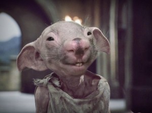 Create meme: bald wombat, Dobby Harry Potter, Dobby is free