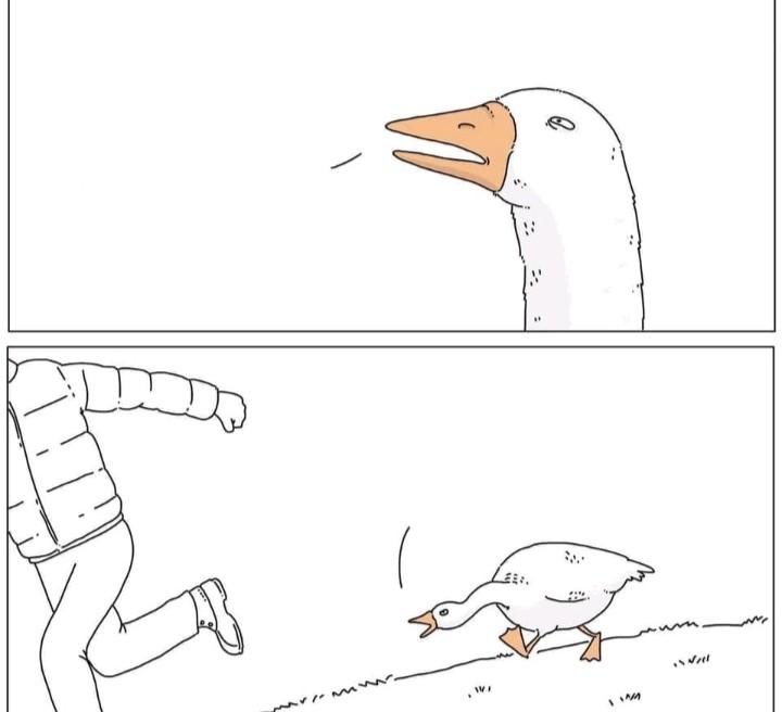 Create meme: goose , goose humor, meme duck 