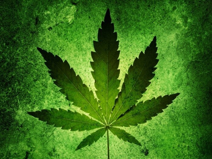 Create meme: marijuana grass, hemp leaf, marijuana leaf/cannabis leaf