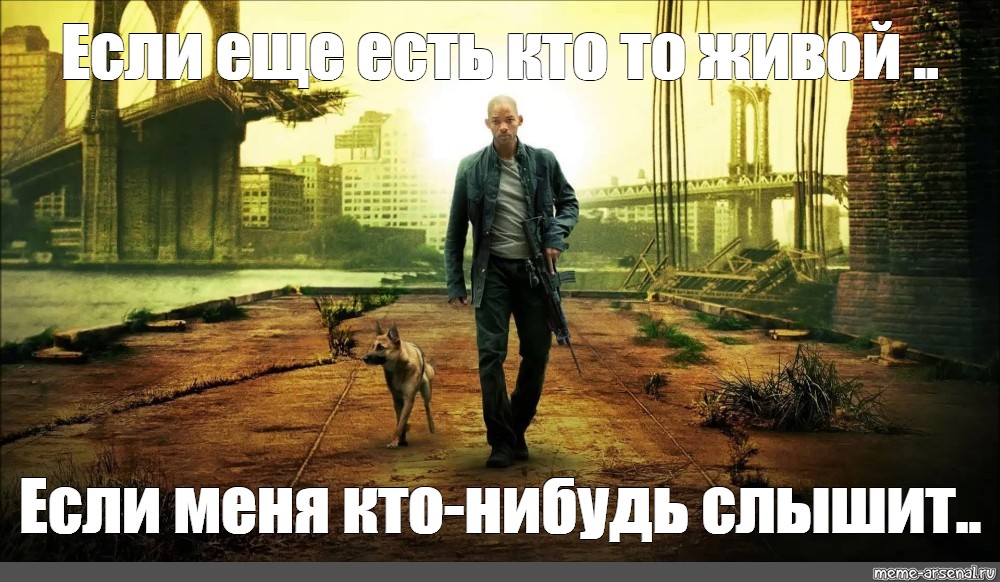 Картинки тут кто есть кто