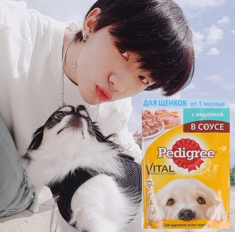 Create meme: hyunjin and cammy, jeongguk's dog, Seo hyun-jin