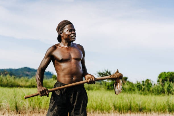 Create meme: guy , farmer , in Africa 
