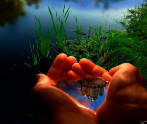 Create meme: take care of nature, water in the palms GIF, nature in your hands pictures