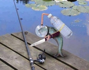 Create meme: fishing fun