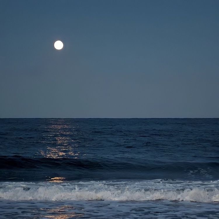 Create meme: seas of the moon, sea at night, moon over the sea