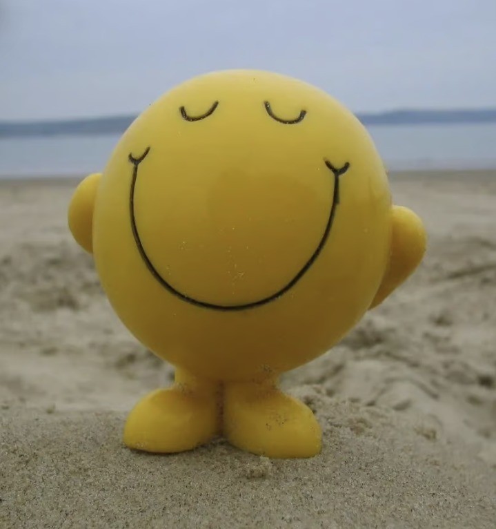 Create meme: a positive attitude, In happiness, positive emoticons