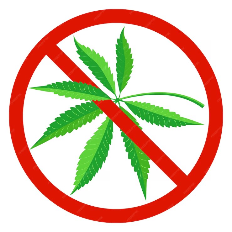 Create meme: cannabis , marijuana leaf, Cannabis is prohibited