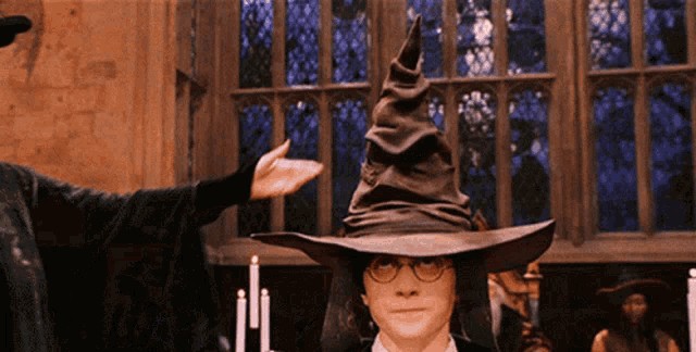 Create meme: The distributing hat from Harry Potter, Harry Potter distribution hat, hat from Harry Potter